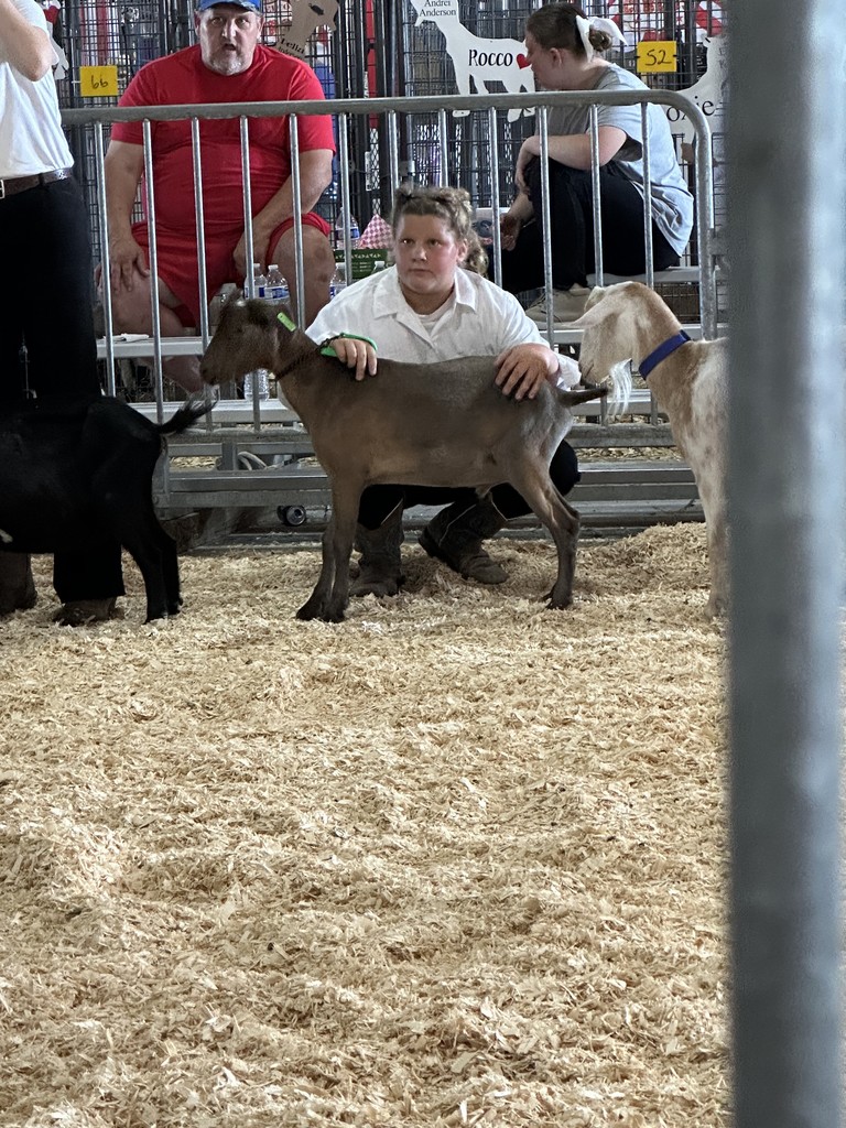 zaskes at fair