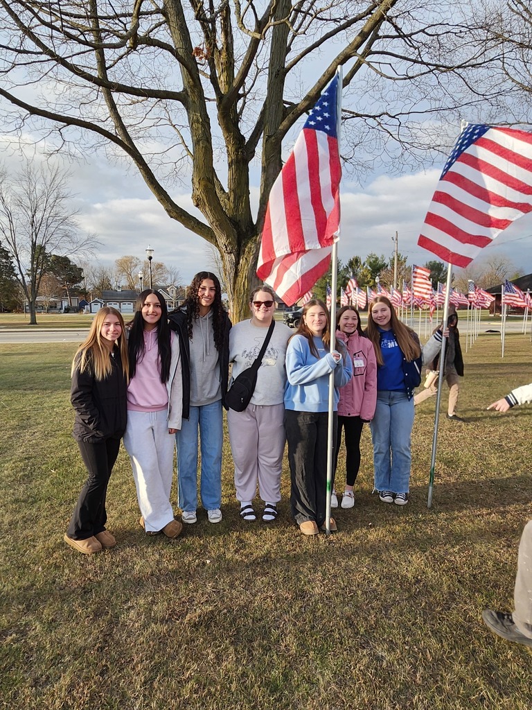 veteran's day placing flags