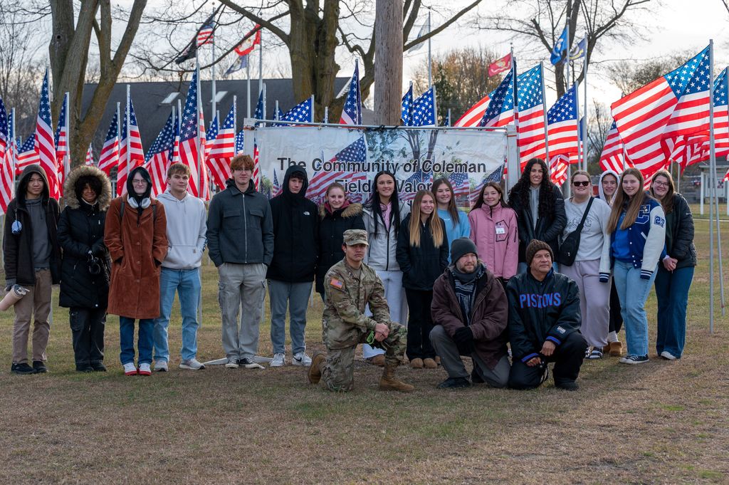 veteran's day placing flags