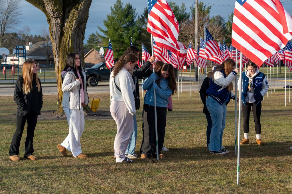 veteran's day placing flags