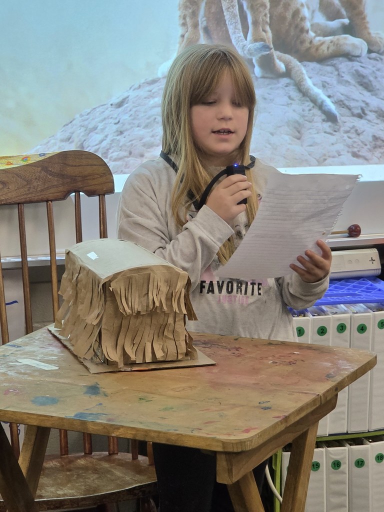 2nd grade tribe project