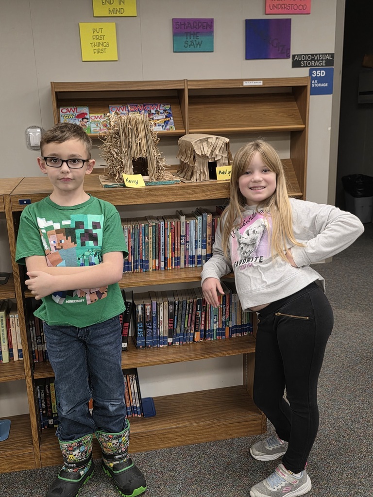 2nd grade tribe project