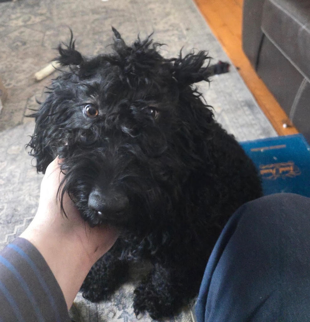 Princess- Beauty School