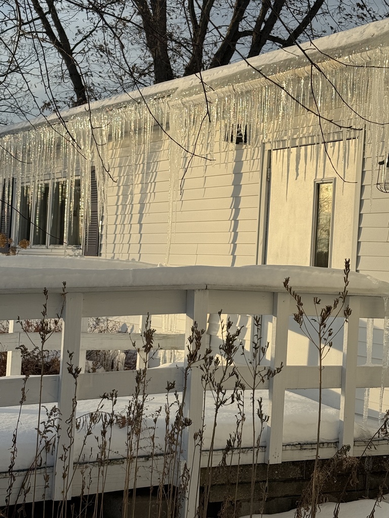 icicles