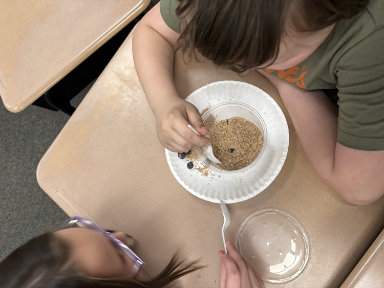mealworm observation