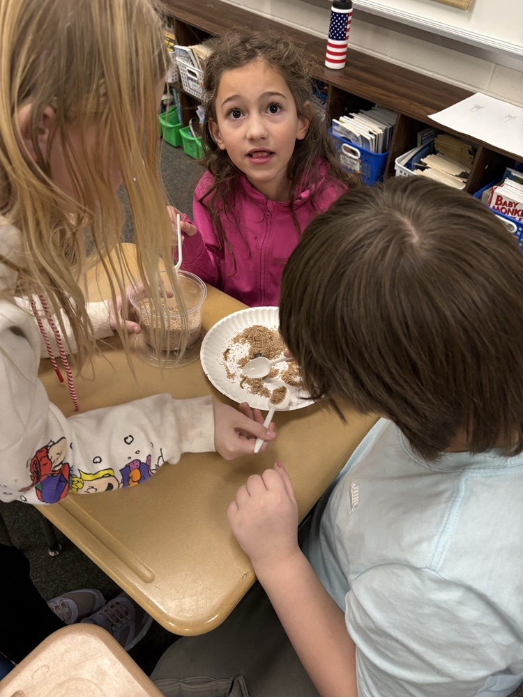 mealworm observation