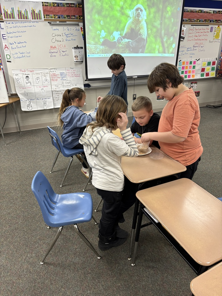 mealworm observation