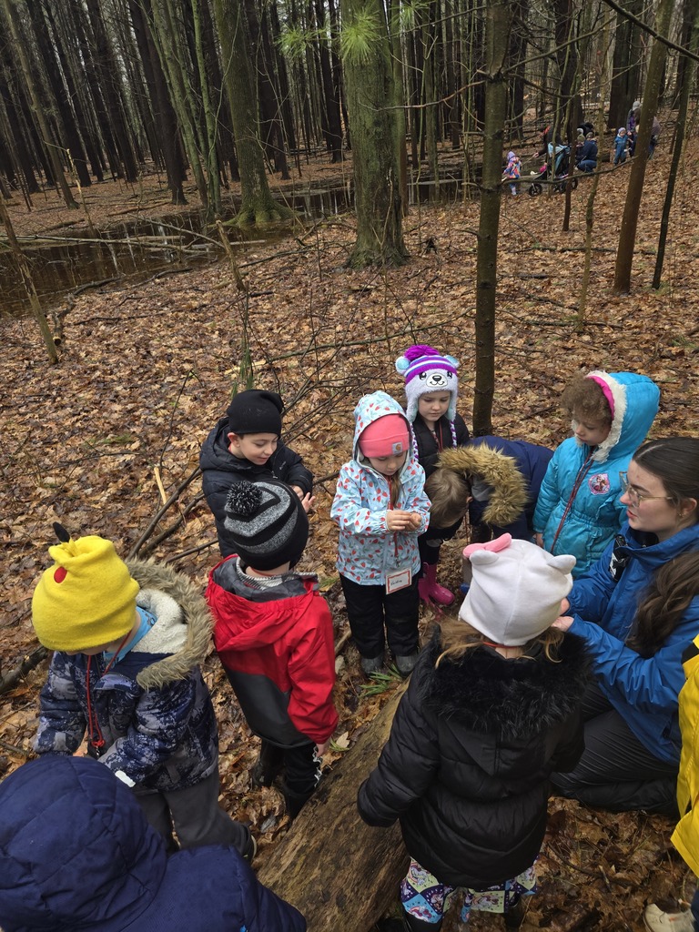 kindergarten chippewa nature center