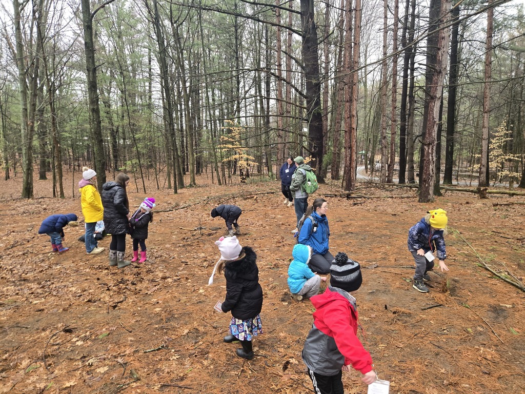 kindergarten chippewa nature center