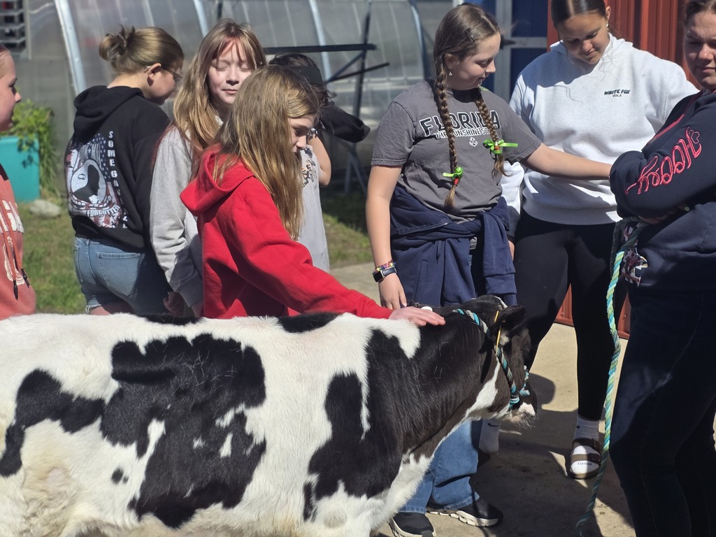 5th grade ag5th grade ag