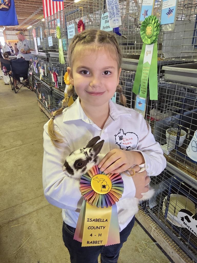 moore kids isabella county fair