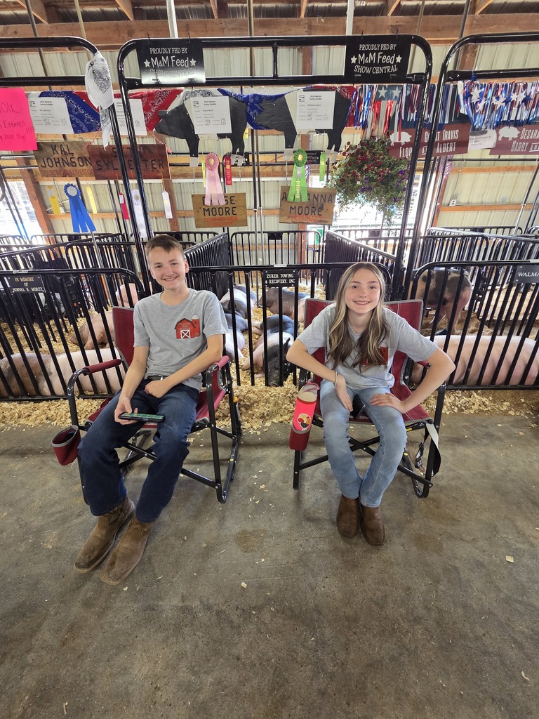 moore kids isabella county fair