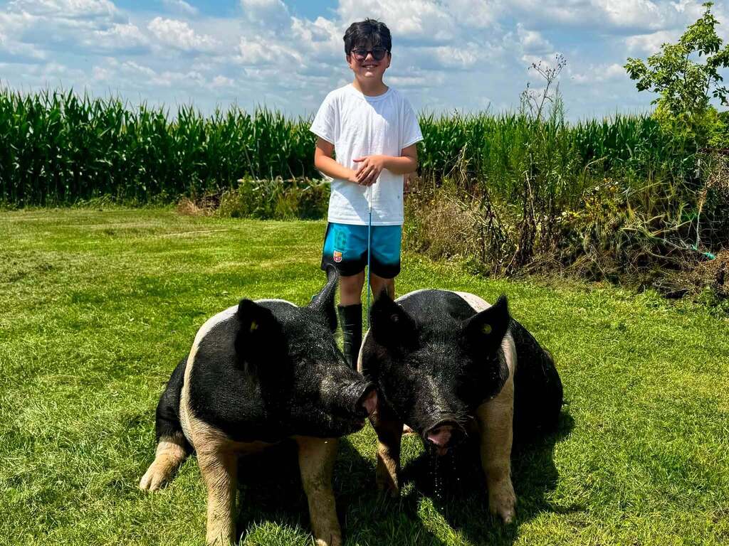 methner boys