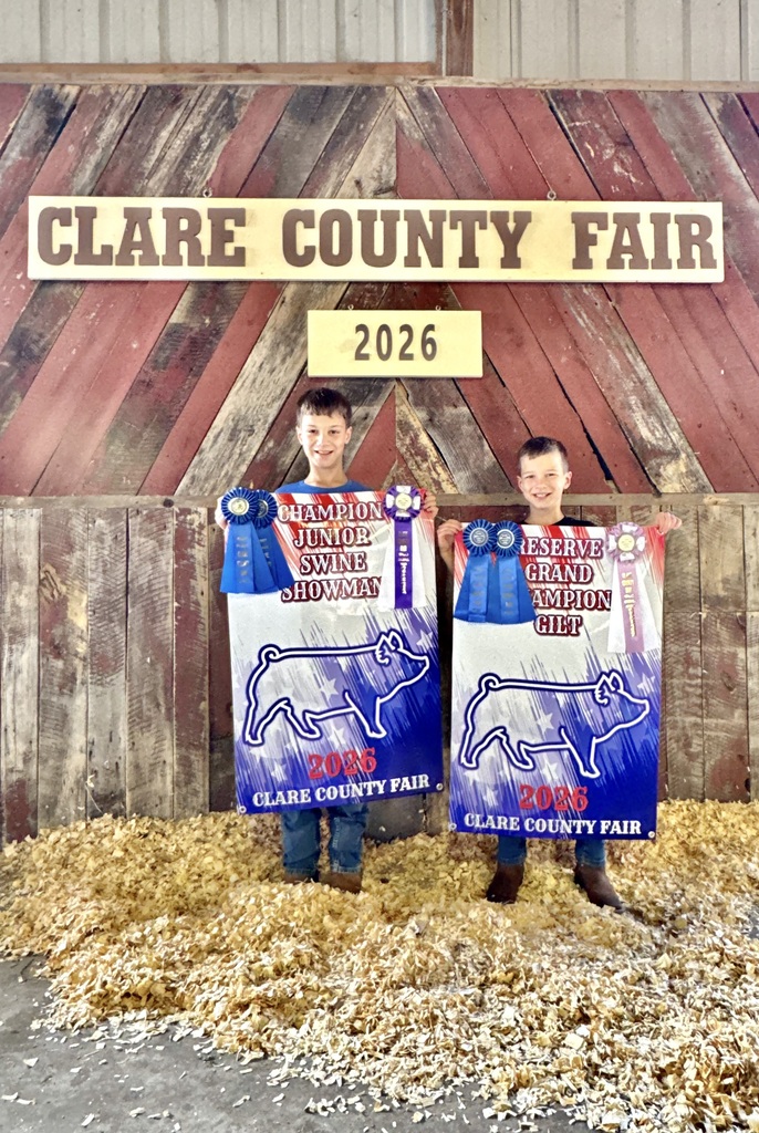 lewis boys clare county fair