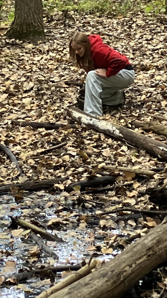 chippewa nature center field trip