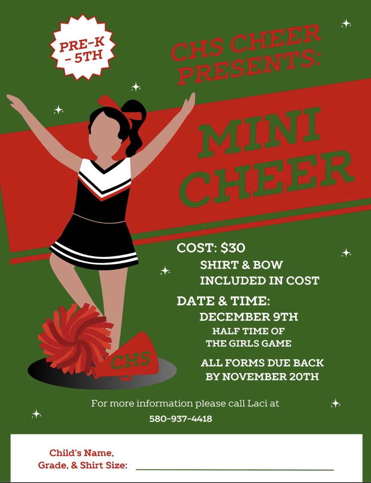 mini cheer
