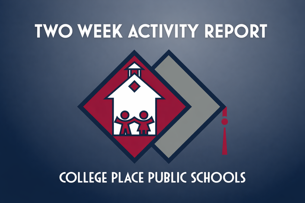 Two Week Activity Report