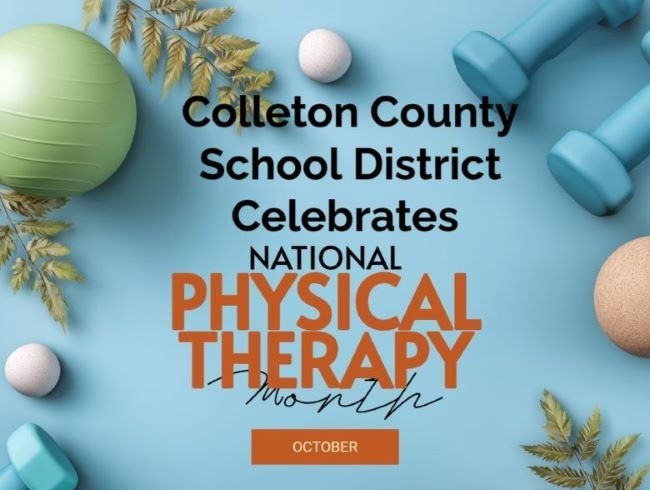 National Physical Therapy Month