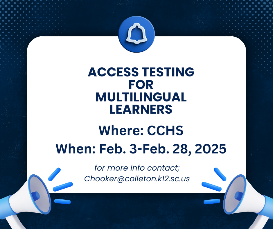 Access Testing