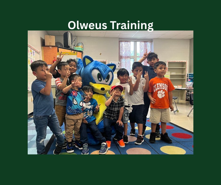 olweus training