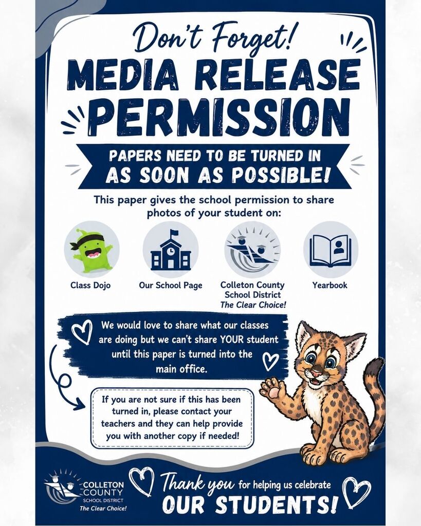 Media release - English