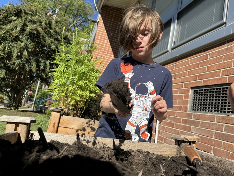 Gifted Garden