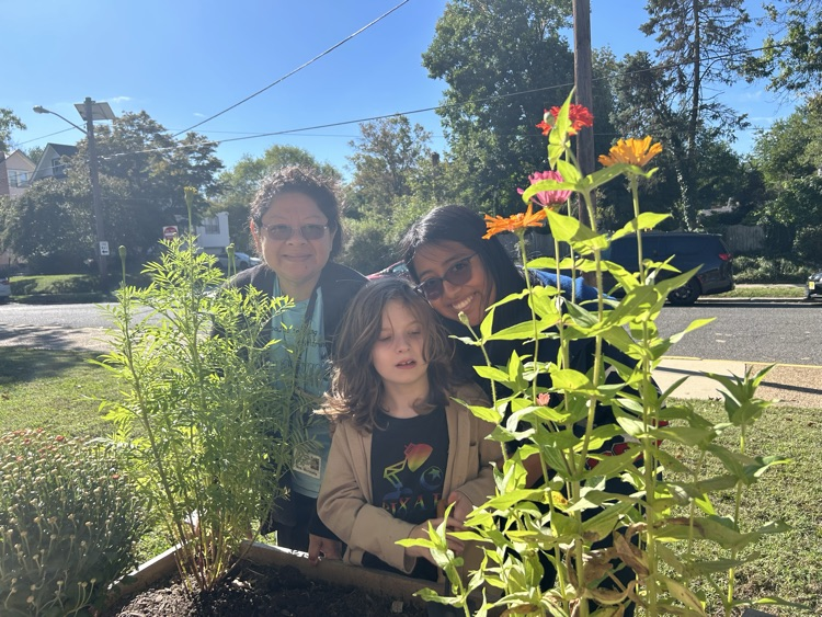 Gifted Garden