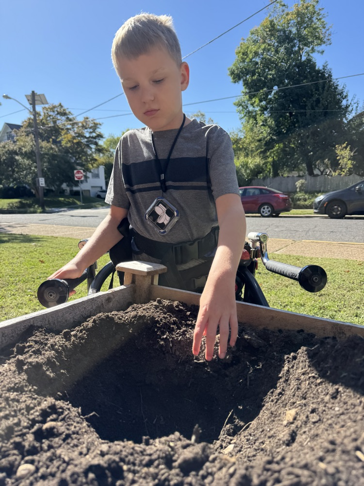 Gifted Garden