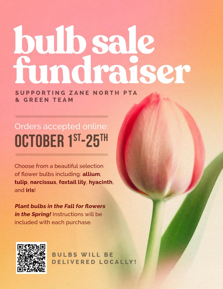 bulb sale 