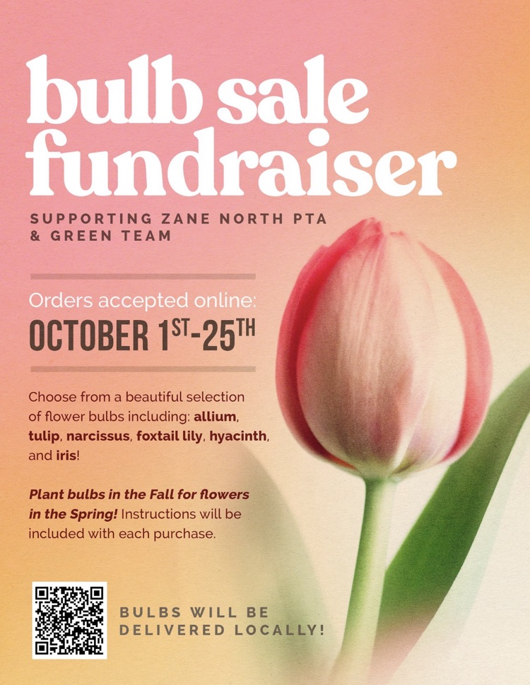 pta bulb sale