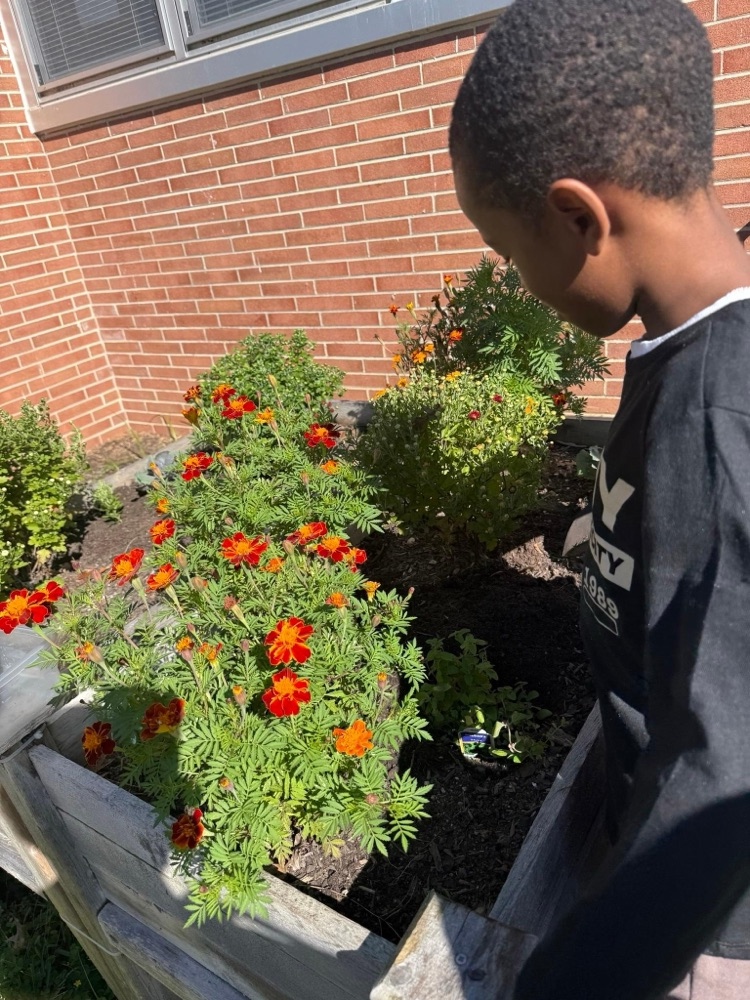 gifted garden