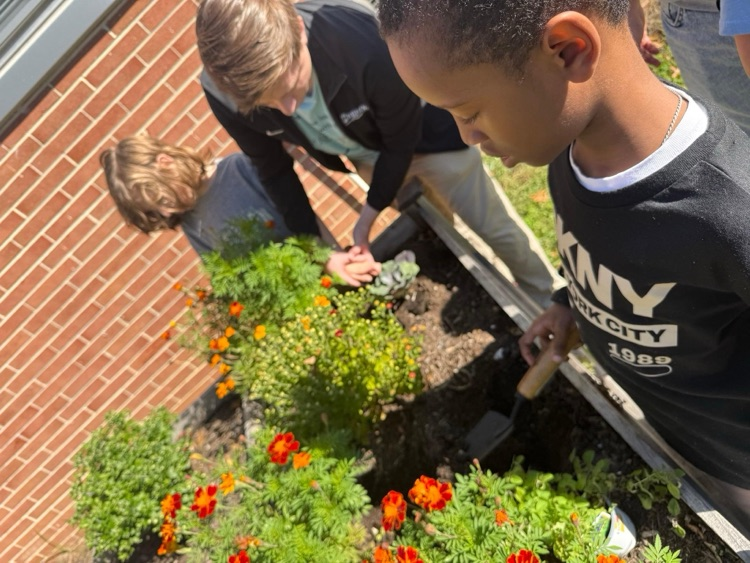gifted garden