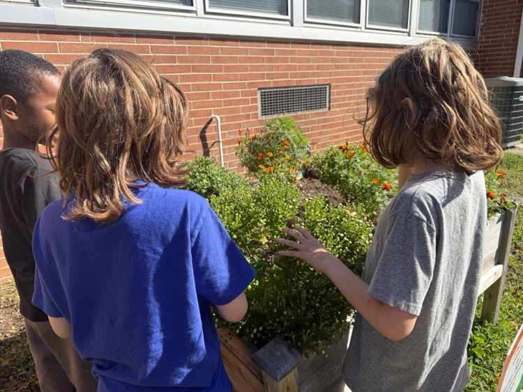 gifted garden