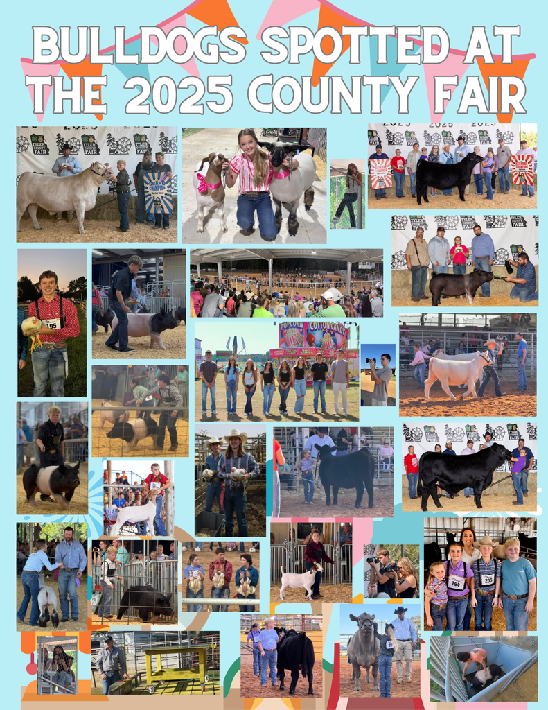 Blue and Green Fun Floral Country Fair Flyer (1)