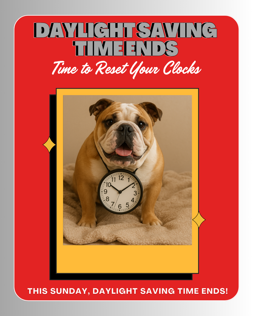 Colorful and Vibrant Modern Gradient Time Change Reminder Instagram Post