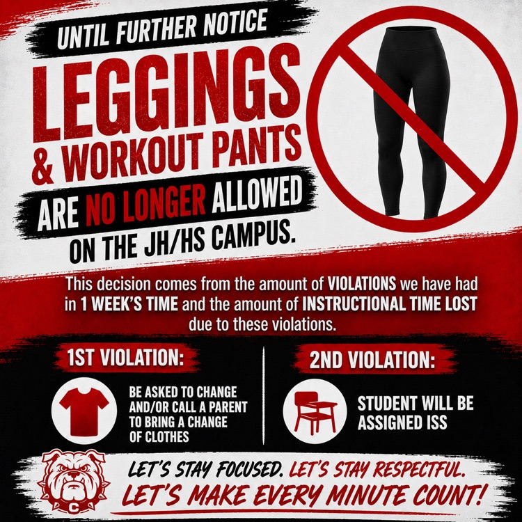 leggings 