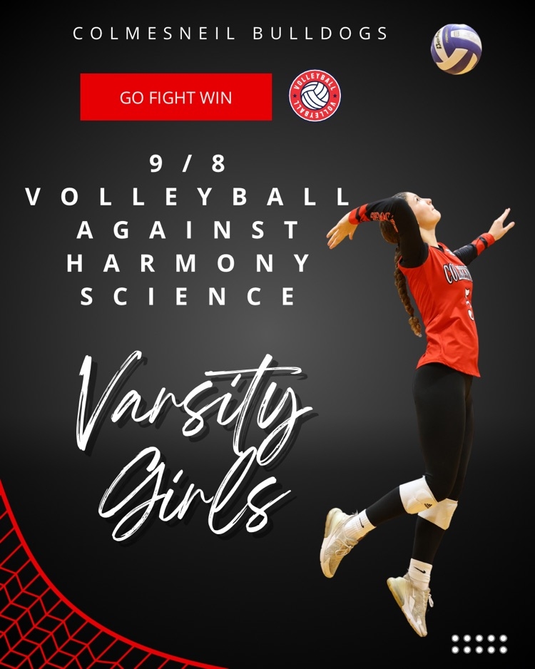vb