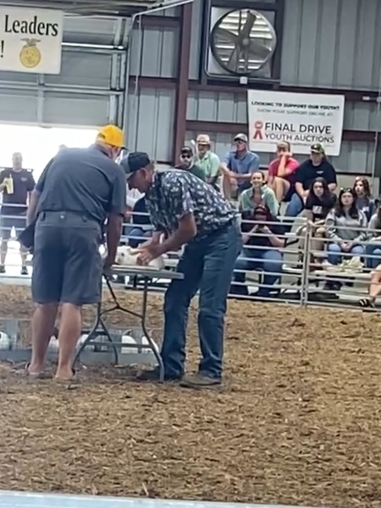 Teachers part of the Farm Show