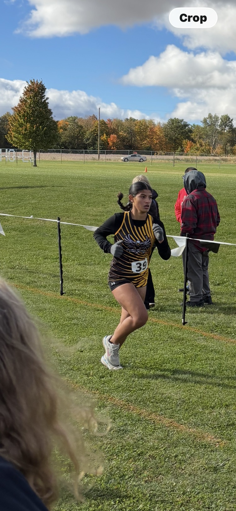 CC runner