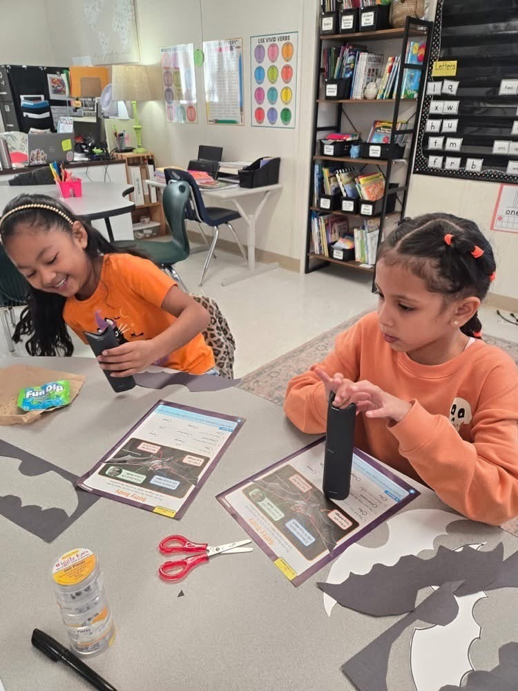 Lakeview students working on bat reading passage