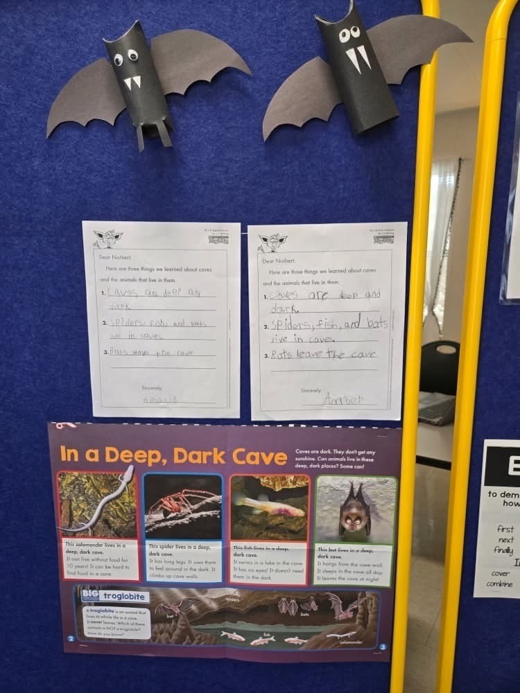 Bats reading passage final student artifacts