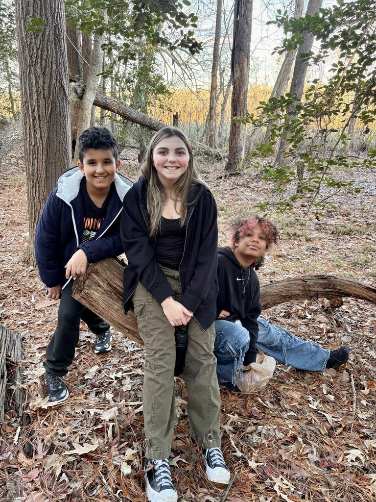 Nature Club in Forest