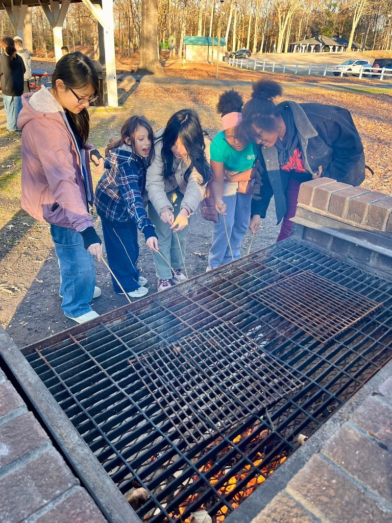 Girls Roasting Marhsmallows