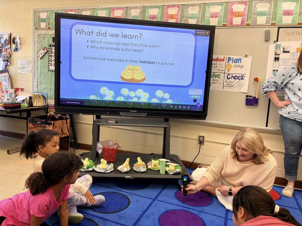 Students on Carpet learning with teacher
