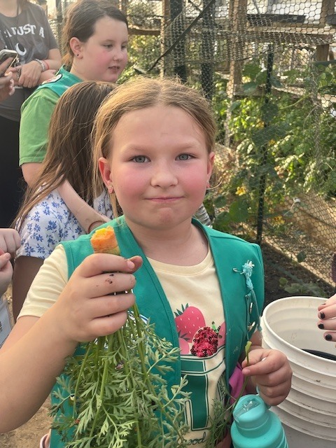 Girl Scout Eating Carrot