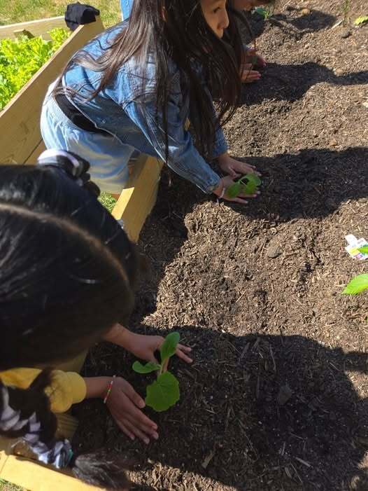 Students planting Flowers