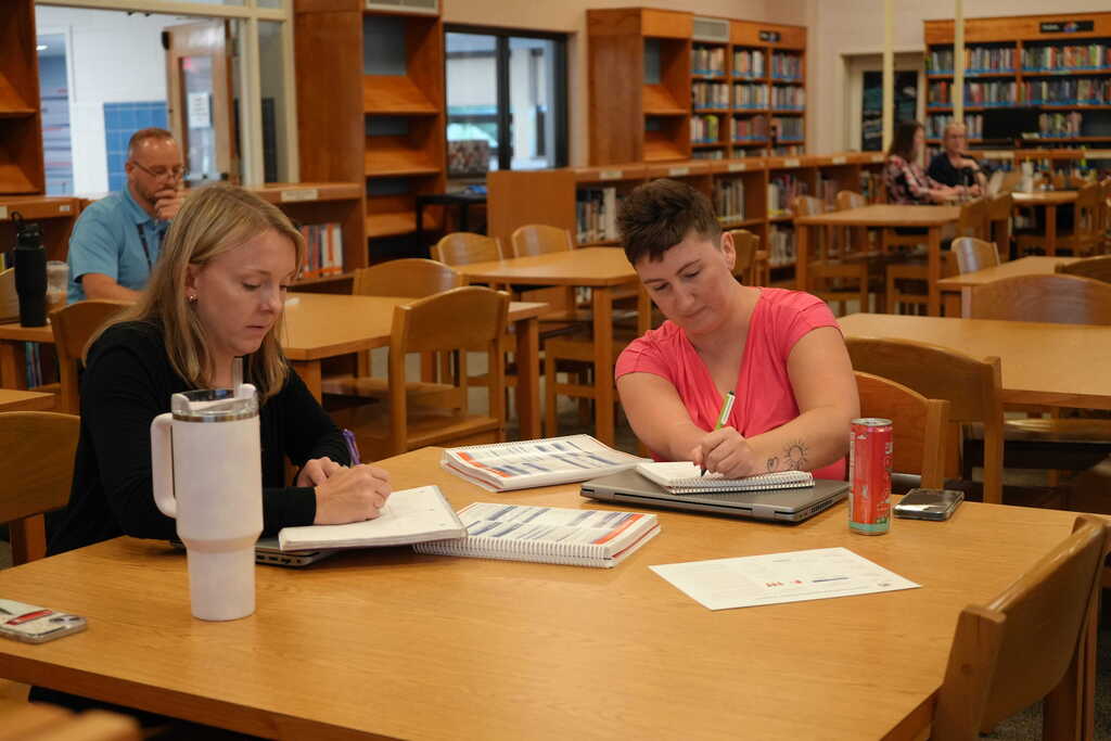 New Teachers Working in Library