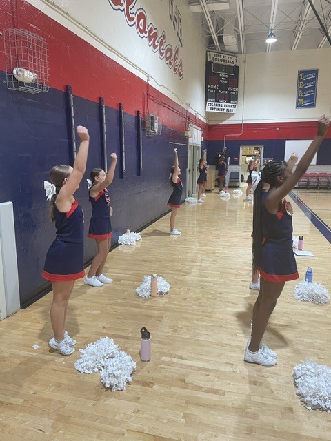 Cheering at tonight's game