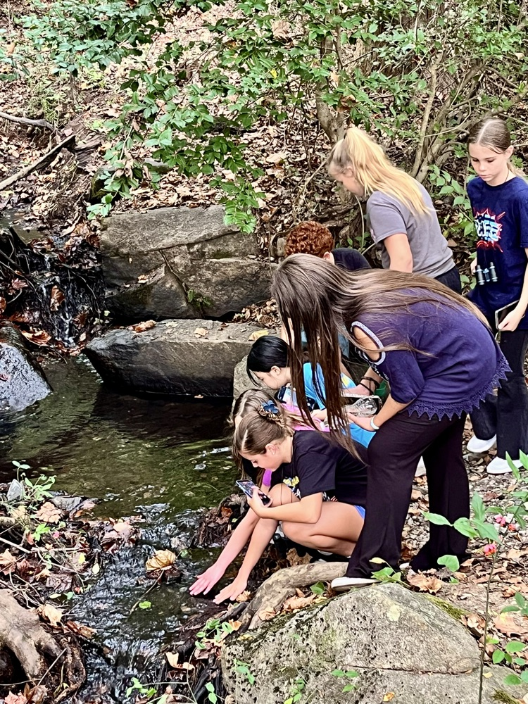 small stream