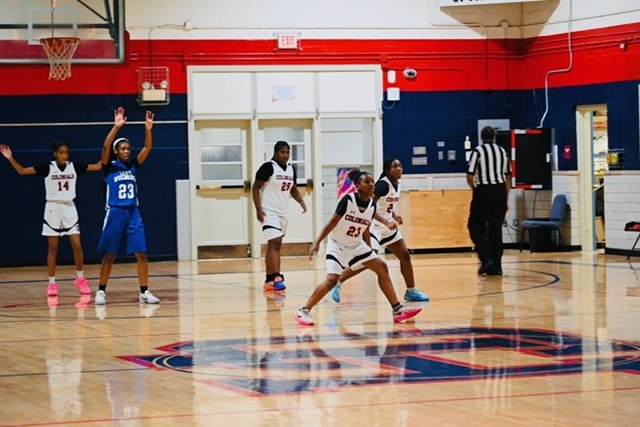Girls Basketball pic 3